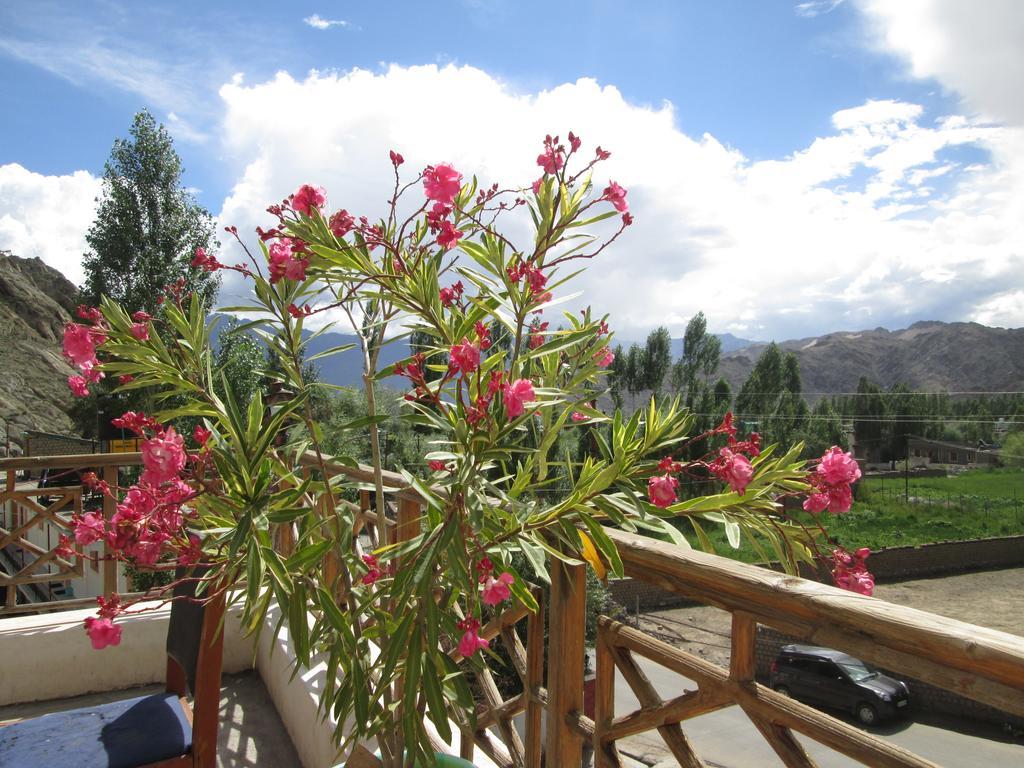 New Moon Guest House Leh Exterior photo