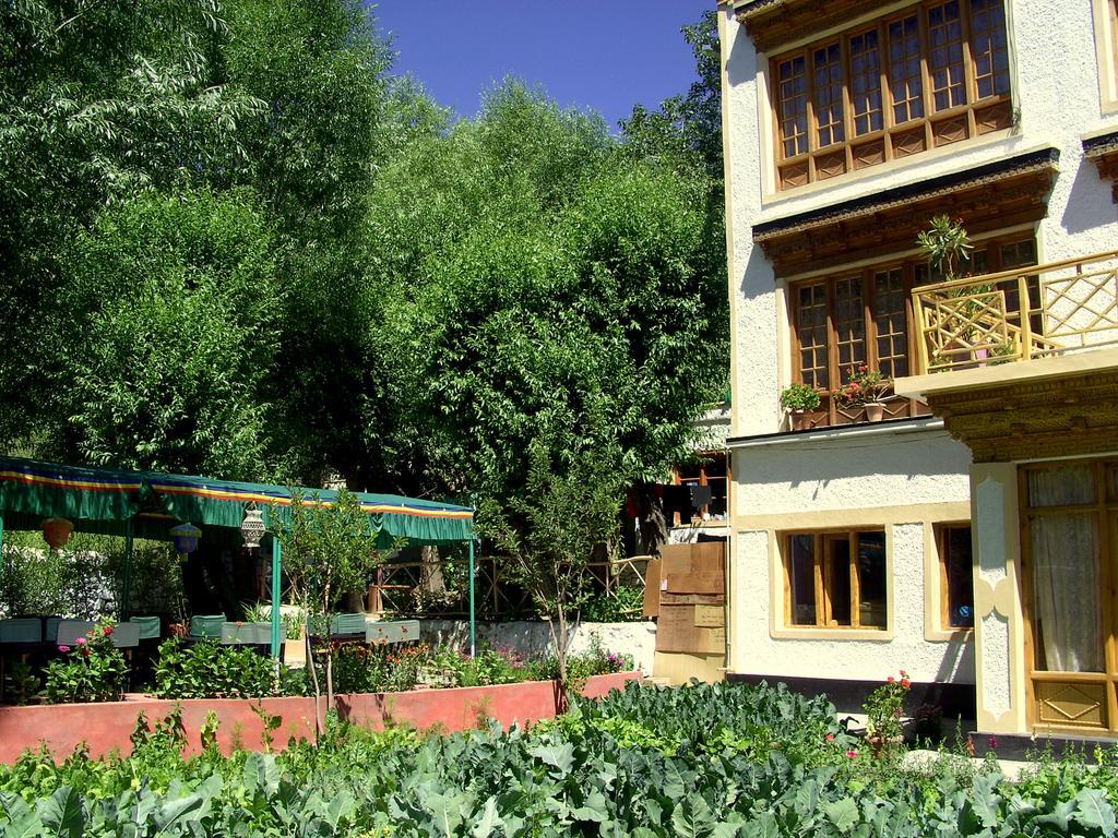 New Moon Guest House Leh Exterior photo