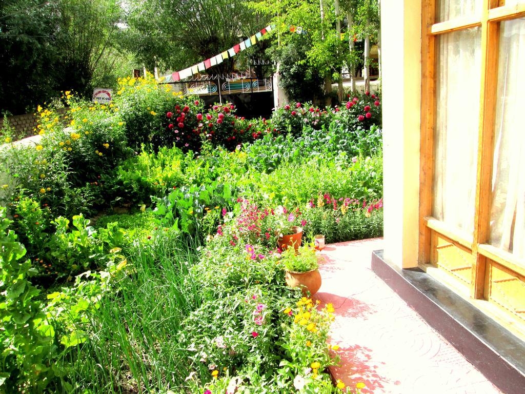 New Moon Guest House Leh Exterior photo